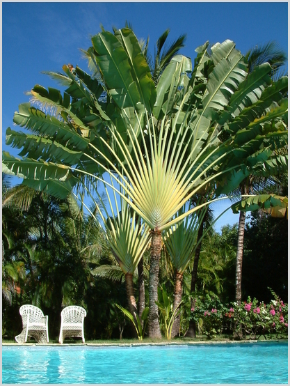 Domnican villas image 1